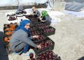 Kadınlar iş hayatından soyutlanıyor
