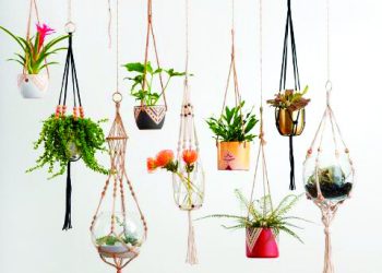 Askı vazolar duvarlarınızda çok şık duracak!