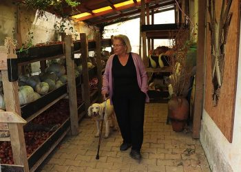 60 yıldır topladığı 1200 çeşit ata tohumuna gözü gibi bakıyor