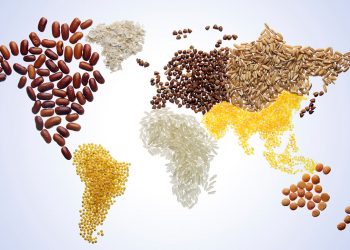 16 Ekim Dünya Gıda Günü: Çözüm Dayanışma