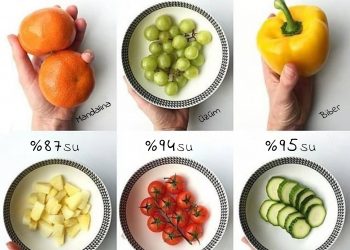 Suyu İçmek Yerine Yemeyi Tercih Edenlere 16 Su Deposu Besin