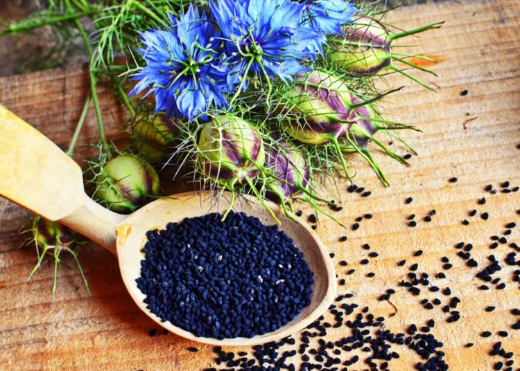 Binbir derde deva Çörek otu yağının faydaları nelerdir, çörek otu yağı nasıl kullanılır?