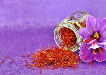 Sohbaharı bir de böyle karşılayın