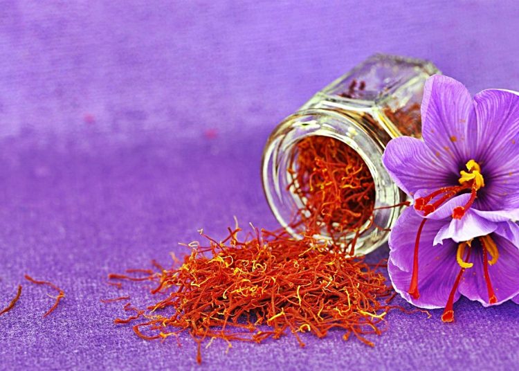 Sohbaharı bir de böyle karşılayın