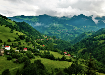 Türkiye ormanları sera gazı salınımının yüzde 16’sını tutuyor