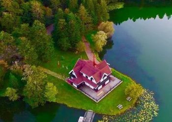 29 Ekim için 4 farklı öneri