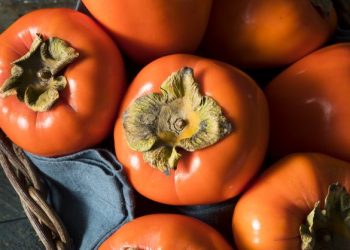 Binbir şifa kaynağı Cennet hurması nelere faydalı?