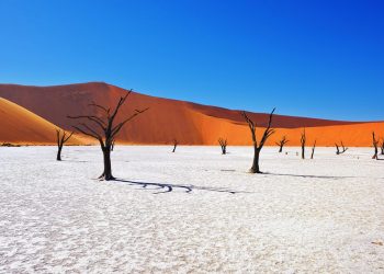 Yeryüzündeki Gezegenler