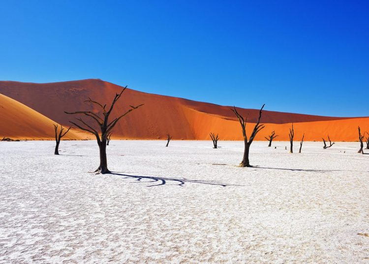 Yeryüzündeki Gezegenler