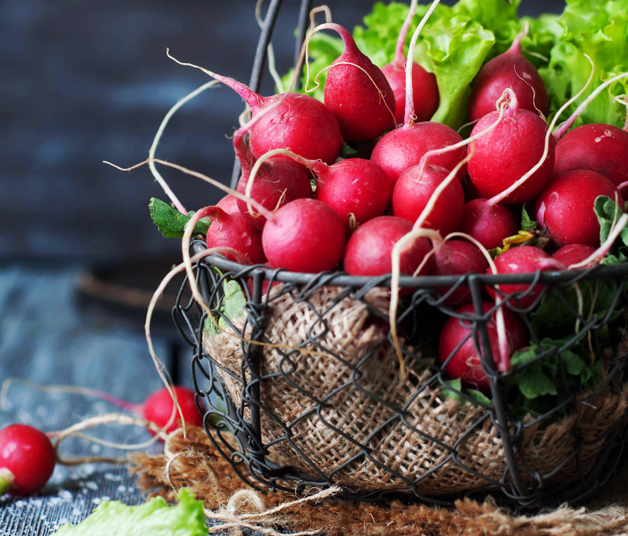 Sağlık Deposu Kış Yiyecekleri