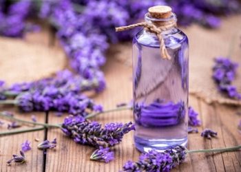 İyi hissetmek için aromaterapiden nasıl faydalanırız?
