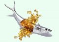 Omega-3 insan için en faydalı yağ asididir! Peki zengin En İyi Balık Yağları