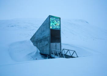 Dünyadaki en büyük tohum ambarı: Svalbard