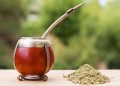 Mate çayının faydaları