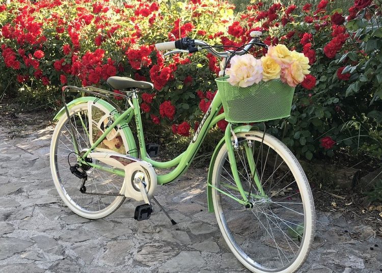 Bisiklet sürmek için 14 harika neden