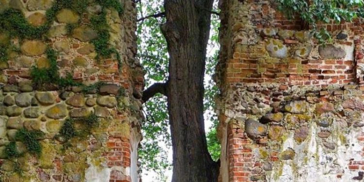 Doğanın uygar dünyayı yendiği anlar