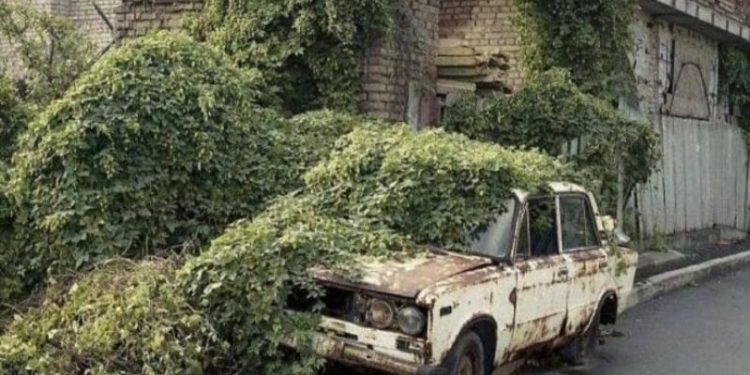 Doğanın uygar dünyayı yendiği anlar