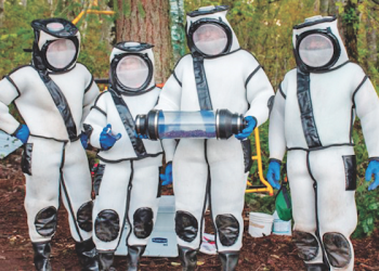 ABD’de Dev Katil Eşek Arısı Yuvasına Operasyon