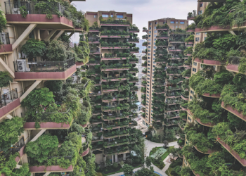 Bitkiler balkonları yuttu, sivrisinekler evleri istila etti