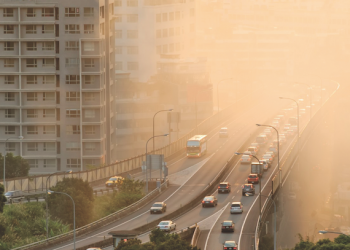 Dünya Nüfusunun Yarısı Daha Fazla Hava Kirliliğine Maruz Kalıyor