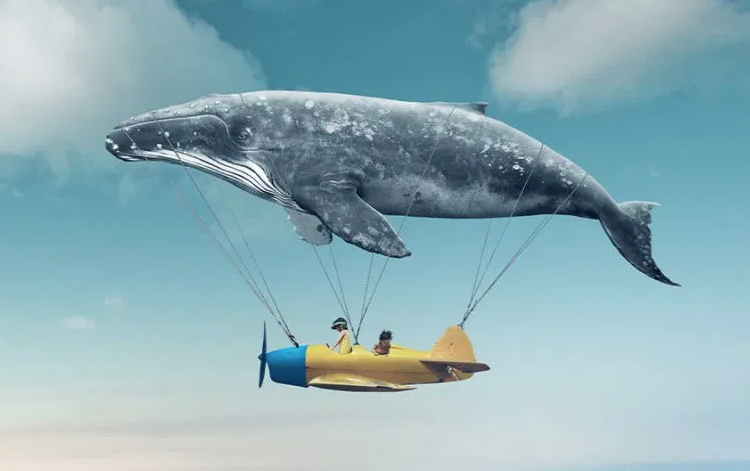 Şimdi Hayallerinizi daha kolay gerçekleştirebilirsiniz