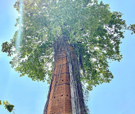 Doğanın uygar dünyayı yendiği anlar