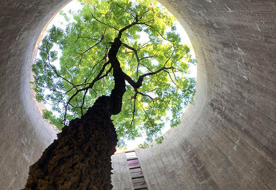 Doğanın uygar dünyayı yendiği anlar