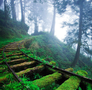 Doğanın uygar dünyayı yendiği anlar