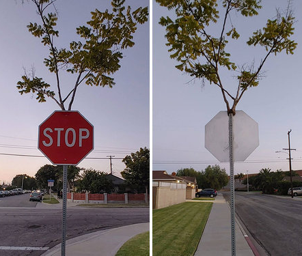 Doğanın uygar dünyayı yendiği anlar