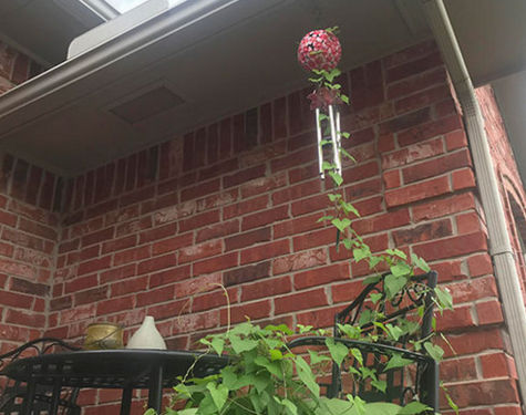 Doğanın uygar dünyayı yendiği anlar