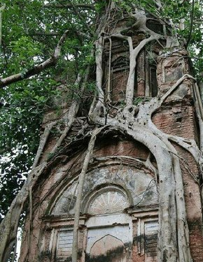 Doğanın uygar dünyayı yendiği anlar