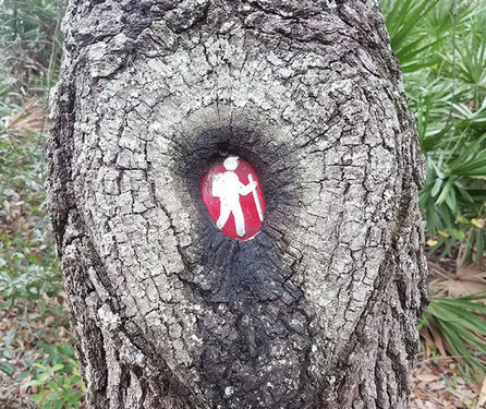 Doğanın uygar dünyayı yendiği anlar