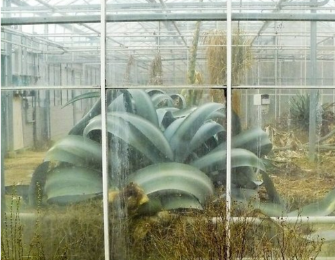 Doğanın uygar dünyayı yendiği anlar