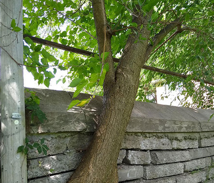 Doğanın uygar dünyayı yendiği anlar