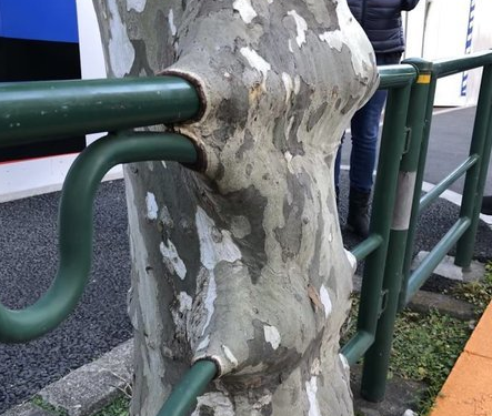 Doğanın uygar dünyayı yendiği anlar