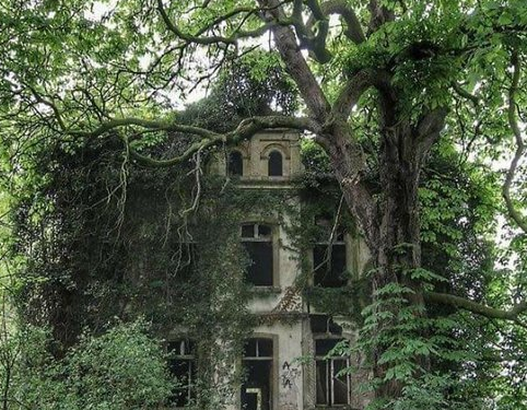 Doğanın uygar dünyayı yendiği anlar