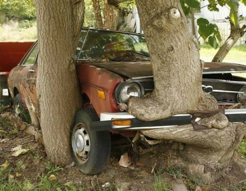 Doğanın uygar dünyayı yendiği anlar