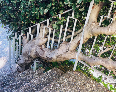 Doğanın uygar dünyayı yendiği anlar