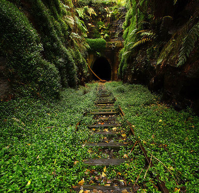 Doğanın uygar dünyayı yendiği anlar
