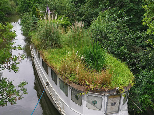 Doğanın uygar dünyayı yendiği anlar