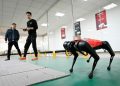 Çinli robot firmasından yeni robot köpek