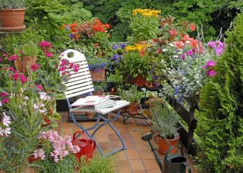 Balkon bahçeciliği yapmak çok kolay!