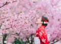Cenneti Hissetmenin Zamanı; Japonya’da Sakura Mevsimi