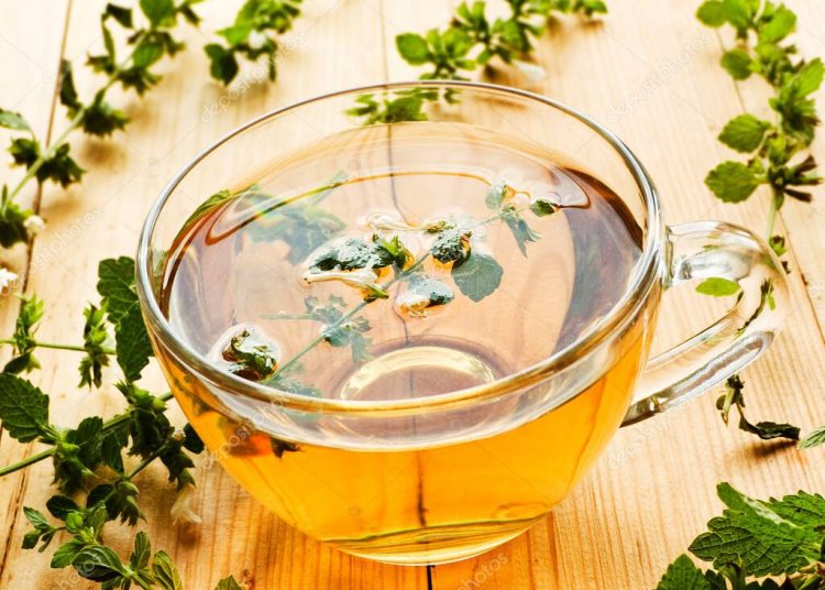 Melisa çayı faydaları ve zararları nelerdir?