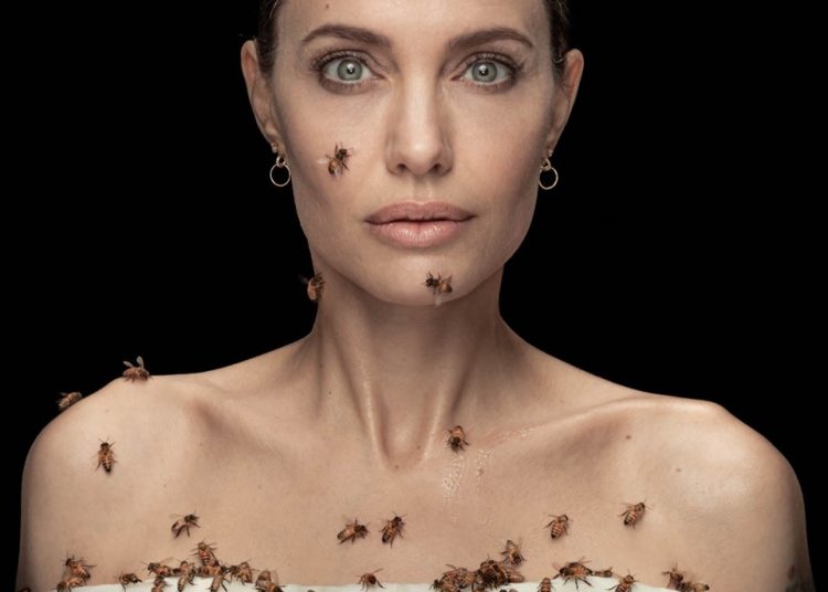 ANGELİNA JOLIE ARILARLA 18 DAKİKA NASIL DURDU?