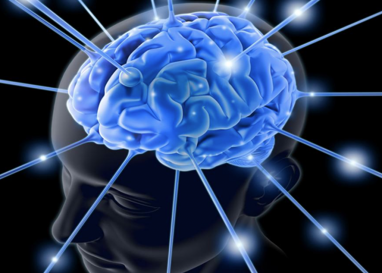 Ayna Nöronlar: Empati ve Sosyalleşme Hakkında Bilmeniz Gerekenler