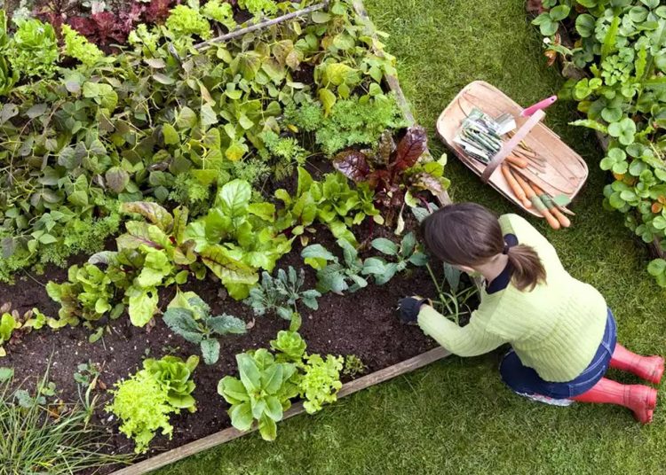 Stressiz bir hayat için 5 adım!