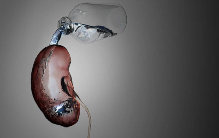Böbrek sağlığı için su tüketimine dikkat edilmeli