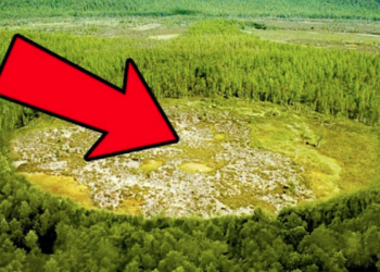 Atom Bombasından 1000 Kat Güçlü Patlama: Tunguska Olayı