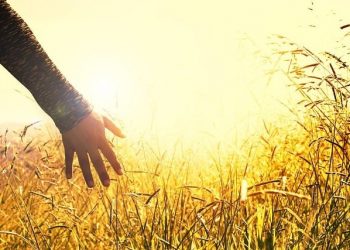 Huzurlu olmak zor değil…